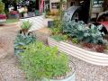 Vegie garden Tanks